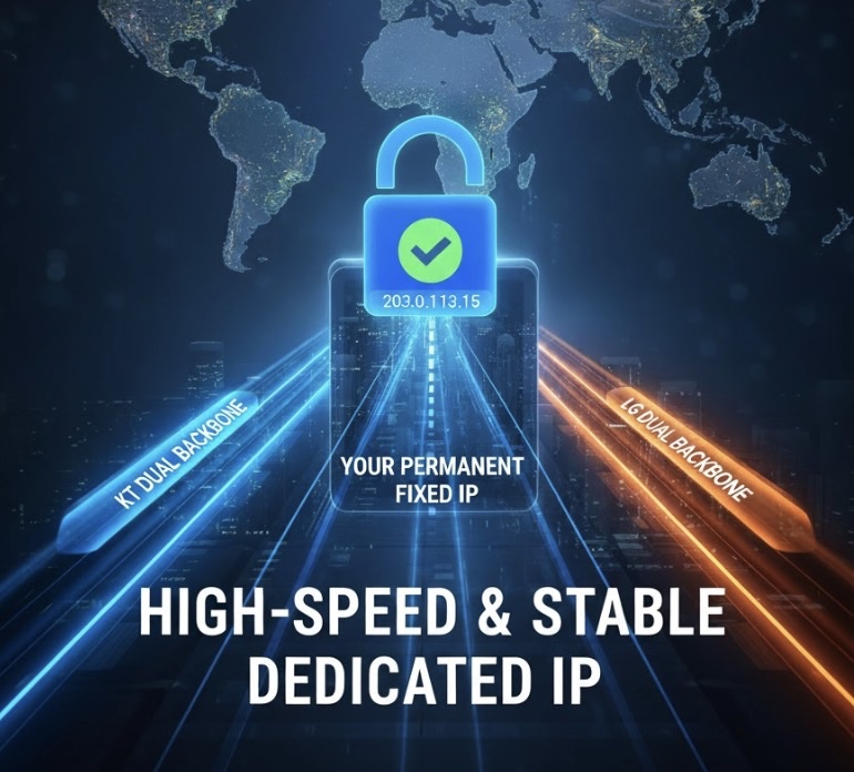 안정적인 네트워크 연결과 전용 IP 주소를 나타내는 이미지